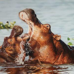 Hungry Hippos by Samantha Greenhill for sale at Wingates Gallery Market Harborough