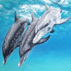 Thanks for All the Fish by Samantha Greenhill available at Wingates Gallery Market Harborough