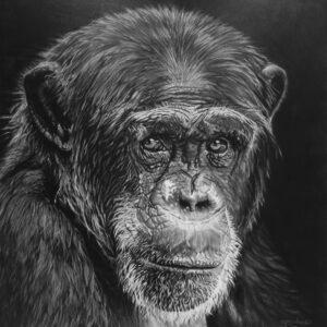 Theory of Mind by Samantha Greenhill available at Wingates Gallery Market Harborough