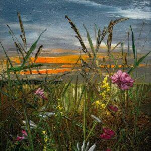 Through Petals and Sky by Kimberley Harris for sale at Wingates Gallery Market Harborough