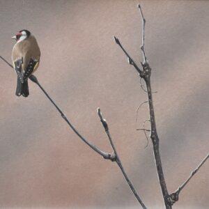 Silent Stillness by Michael Demain